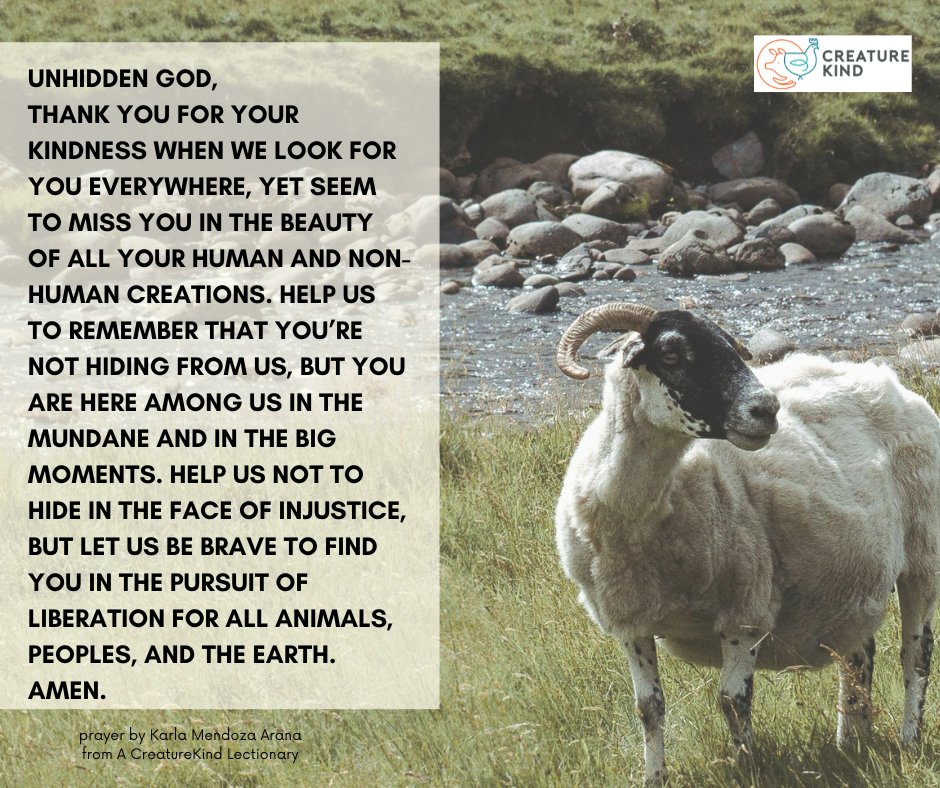 Even when we can't see Them at work, let's remember that maybe God isn't in just one place; maybe God is in every corner, every creature, every act of justice and mercy. ⁠
⁠
#seventhsundayofeaster #eastertide
