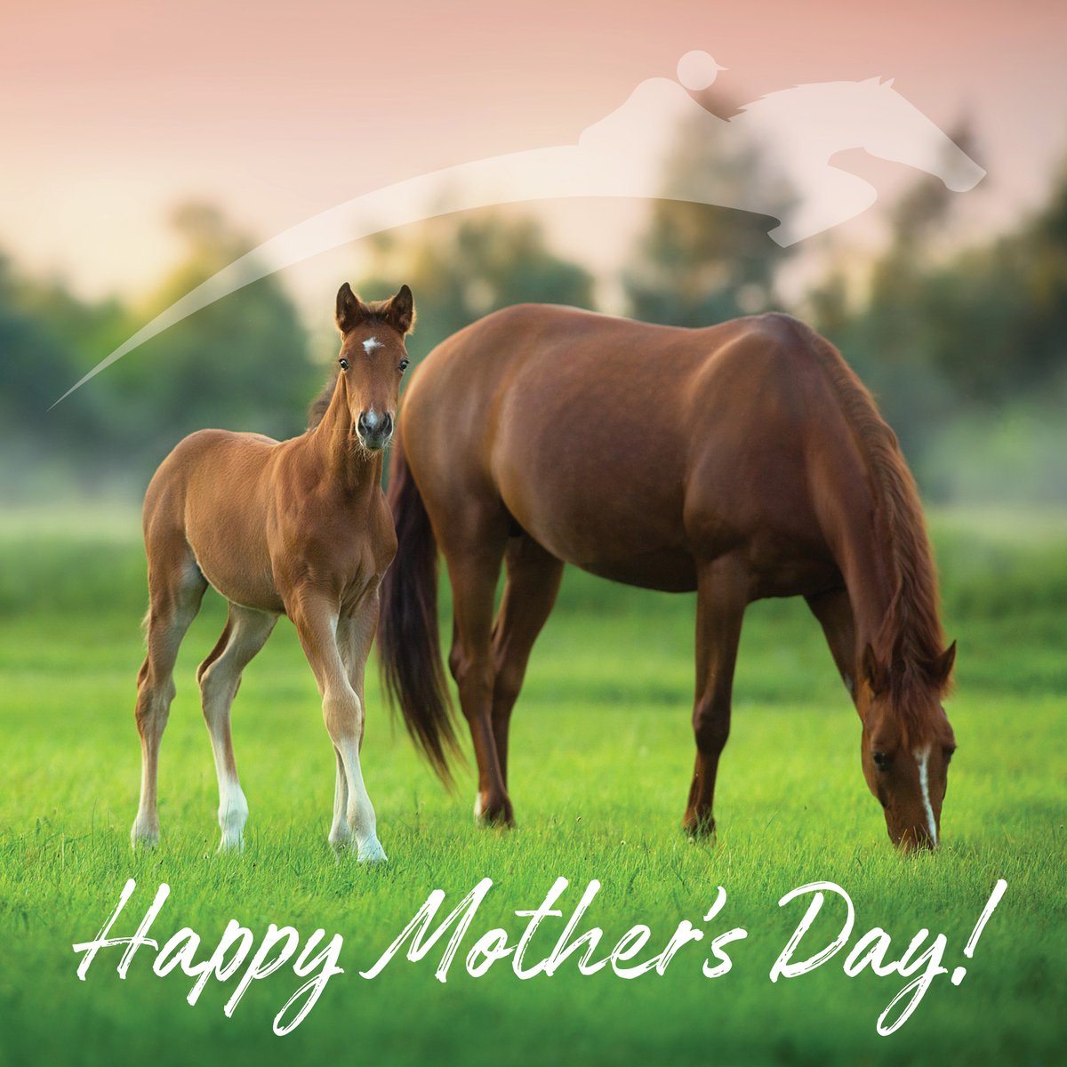 Happy Mother's Day to all the incredible moms and mother figures who help shape and inspire our equestrians! ❤️