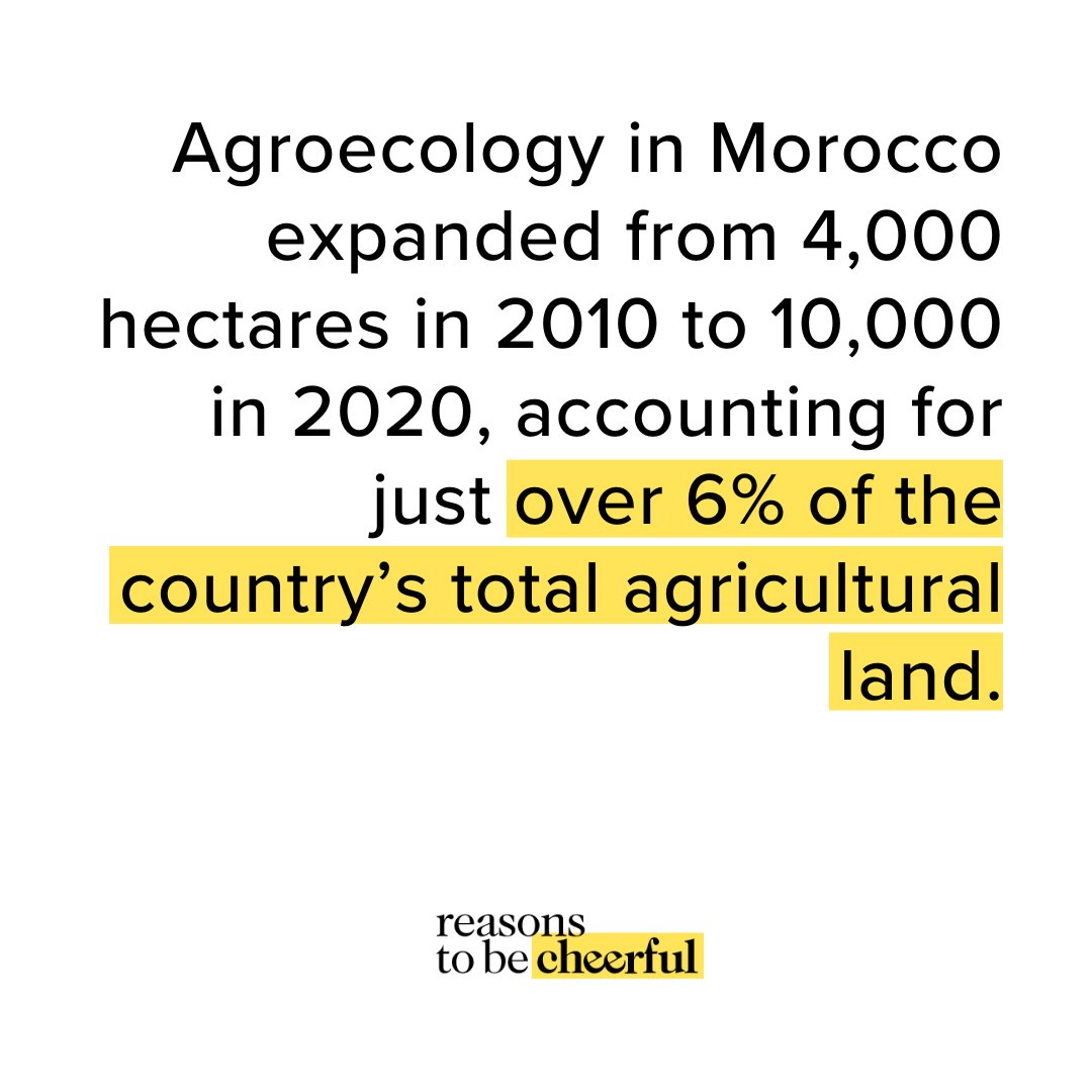 Welcome back to #StatsSunday — your statistical fix, pulled from this week’s stories.⁠ Read this stat’s story here: reasonstobecheerful.world/morocco-saving…