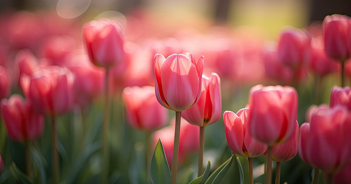 To all the mother figures in our community, we hope you feel cherished and appreciated today and every day. You deserve all the love and happiness in the world. 💕

#MothersDay #ThankYouMom #Motherhood #LoveYouMom