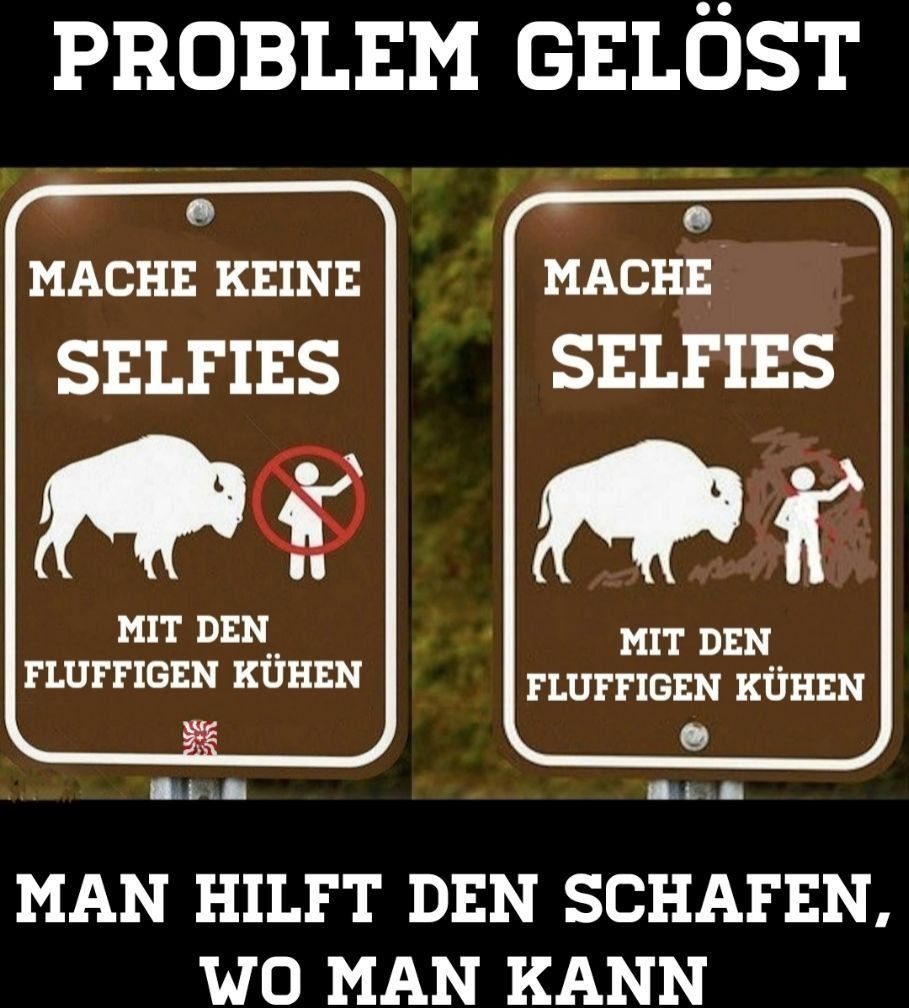 Politische Bilder