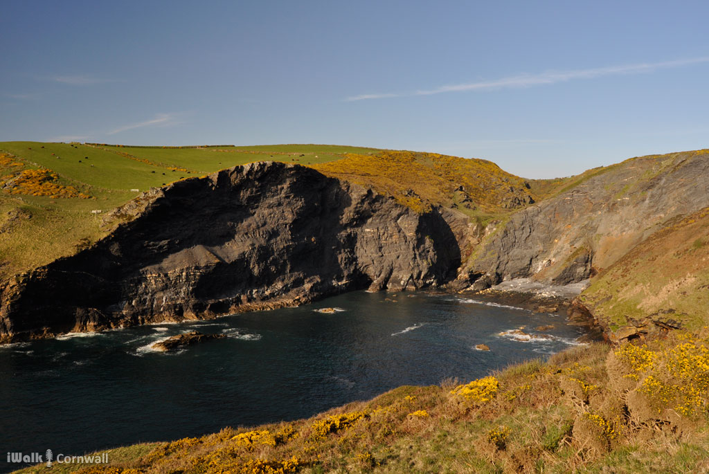 iWalk Cornwall 〓〓 tweet media