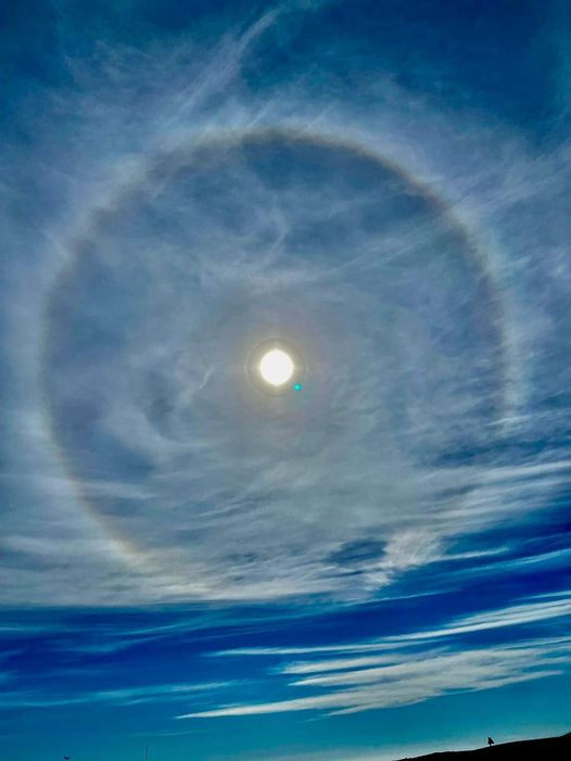 One of our volunteers captured this amazing sun halo on the reserve last week! 🌞 📷 James Davies