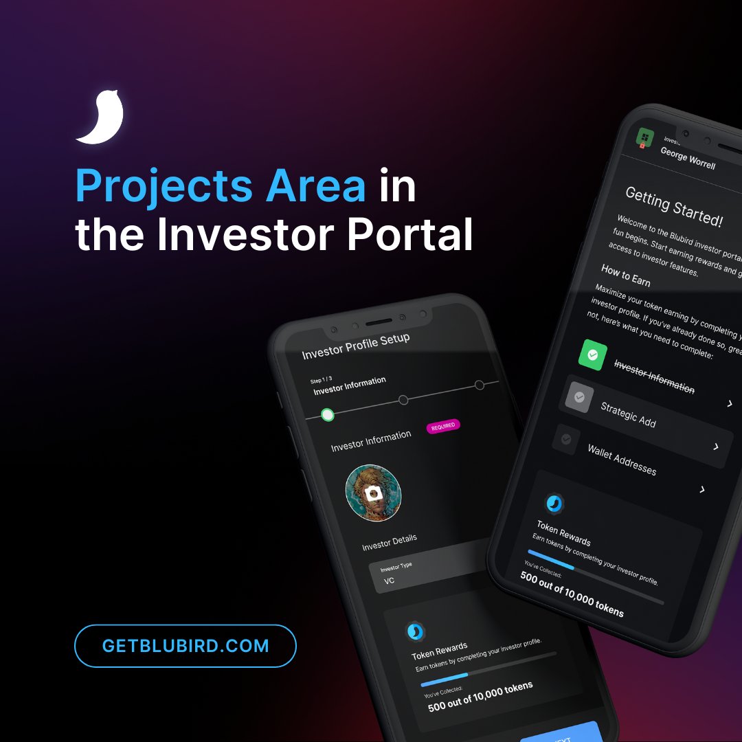What is our Projects Area in the Investor Portal? Within one centralized area investors will be able to: 🌐 Explore, request allocations, and learn about projects within our Early Bird Investor Window (EBIW). 🔎 Efficiently discover new investment opportunities and engage