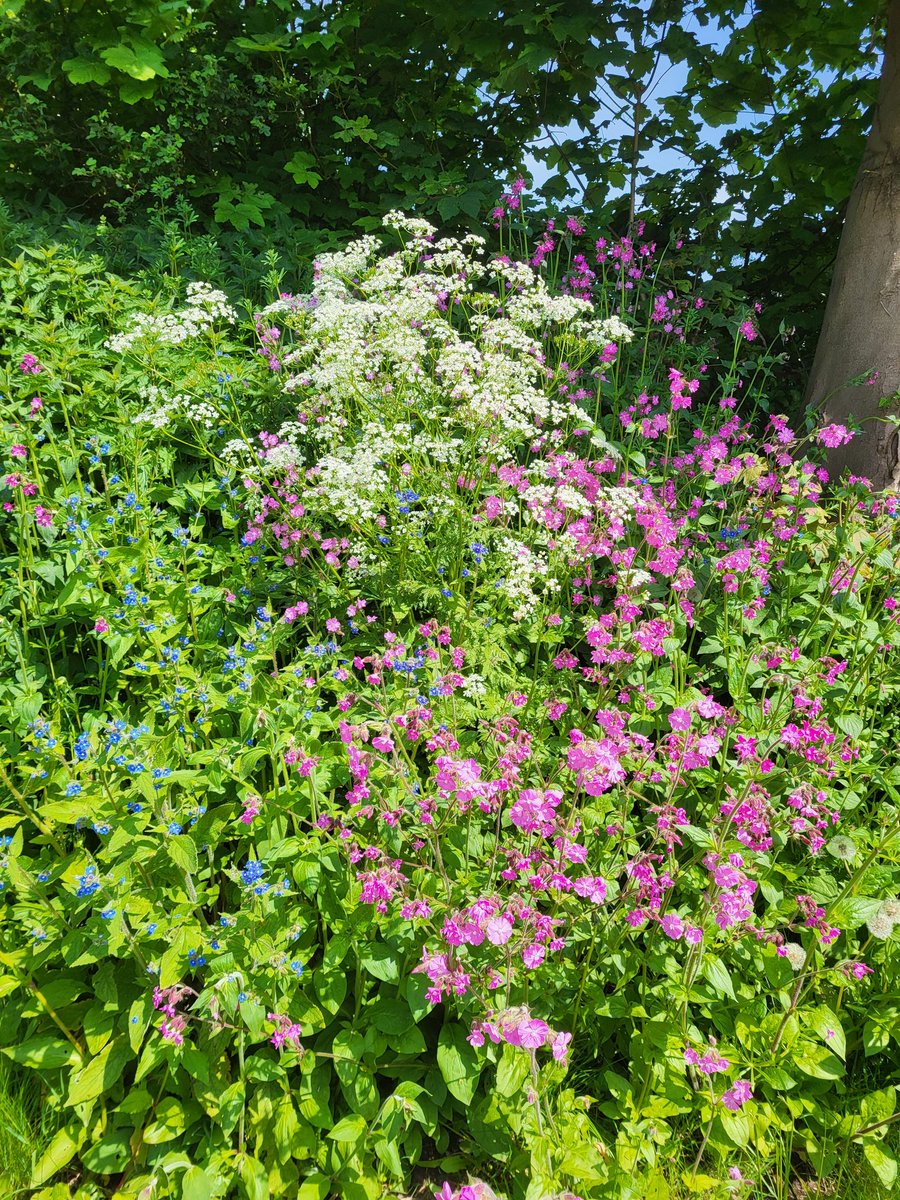 Tree Stories tweet media