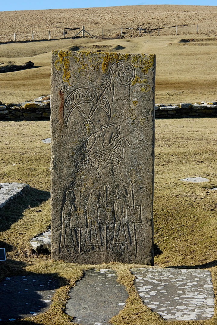 #SundayStonework #AncientSiteSunday #StandingStoneSunday Replica carved Pictish stone on the Brough of Birsay, Orkney 📸Charles Tait