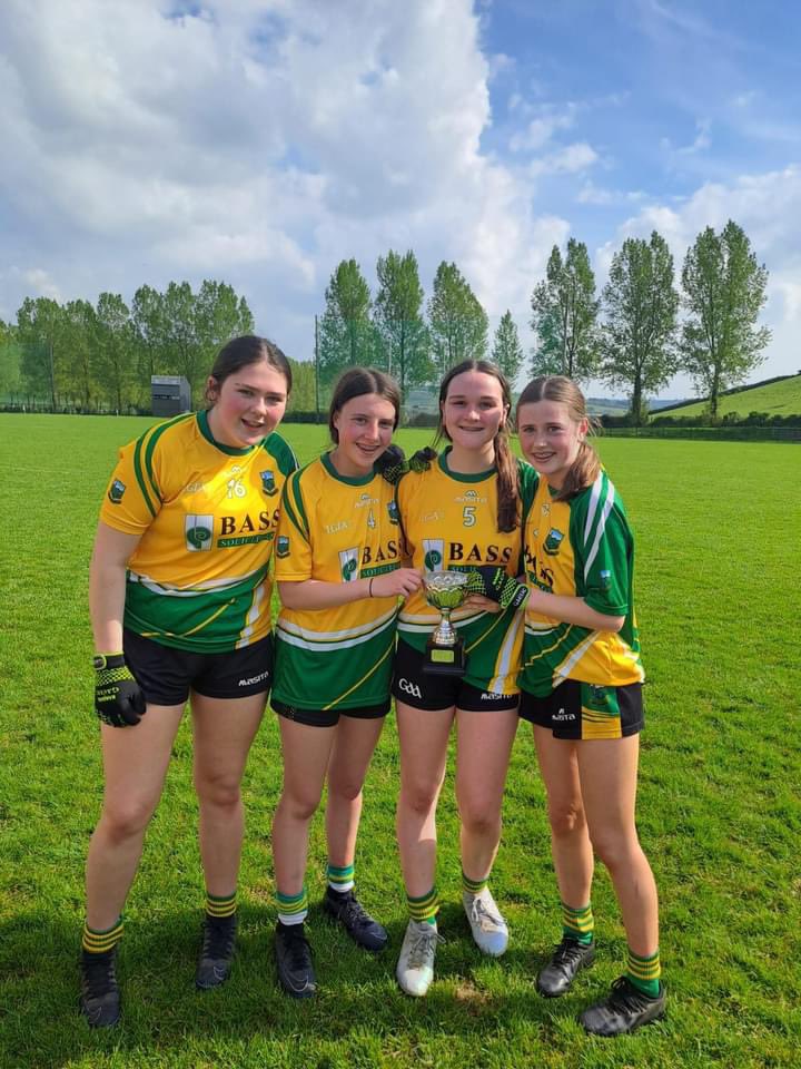 Ballyhale Shamrocks Camogie Club tweet media
