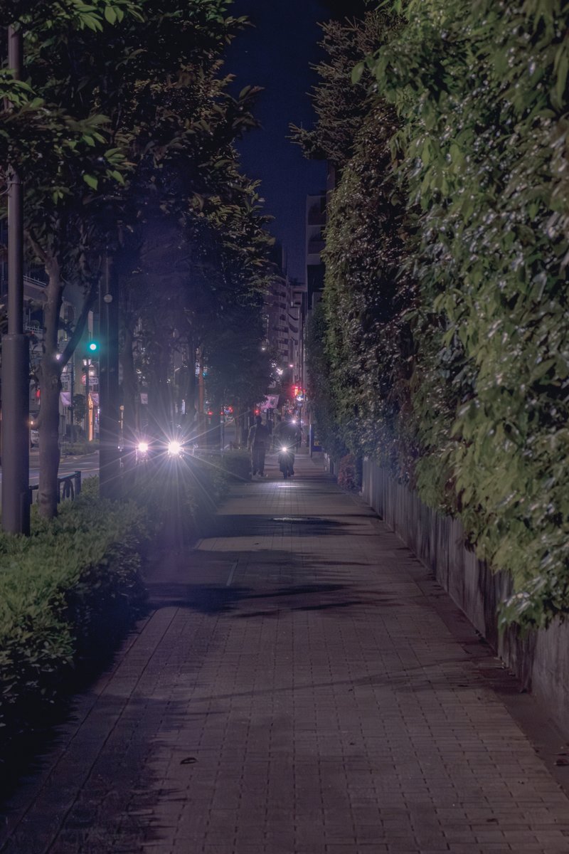 歩道

Fujifilm X-E3
Fujifilm XF18-55mmF2.8-4 R LM OIS

#streetphotography 
#PhotoWalk 
#写真好きな人と繫がりたい