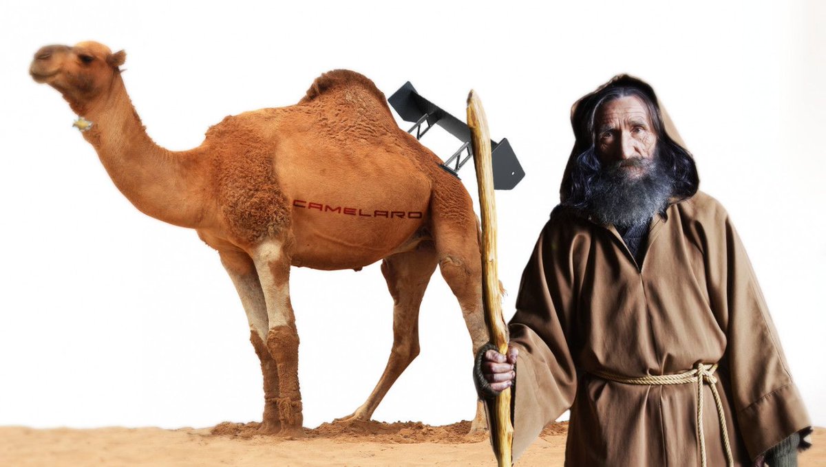 484-Year-Old Methuselah Goes Through Midlife Crisis, Purchases Expensive Convertible Sports Camel buff.ly/3VWnho0