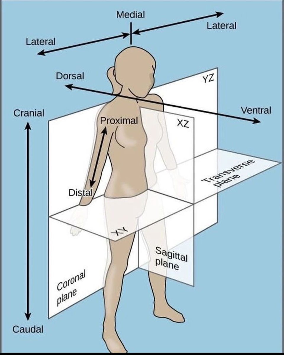Anatomical planes and positions @abctutorial65 #MedEd #MedX