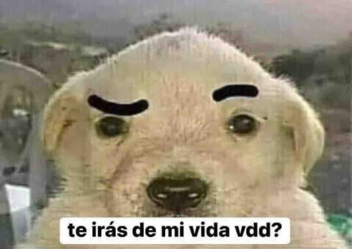 *Noto el mínimo cambio de actitud en alguien*

Yo: