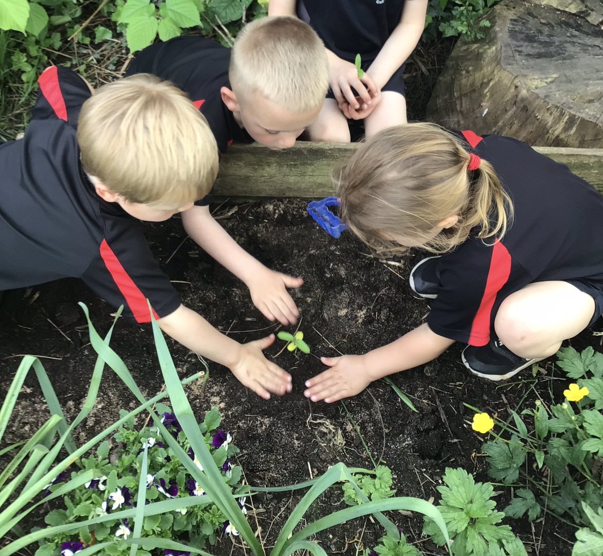 North Wheatley Night Owls tweet media