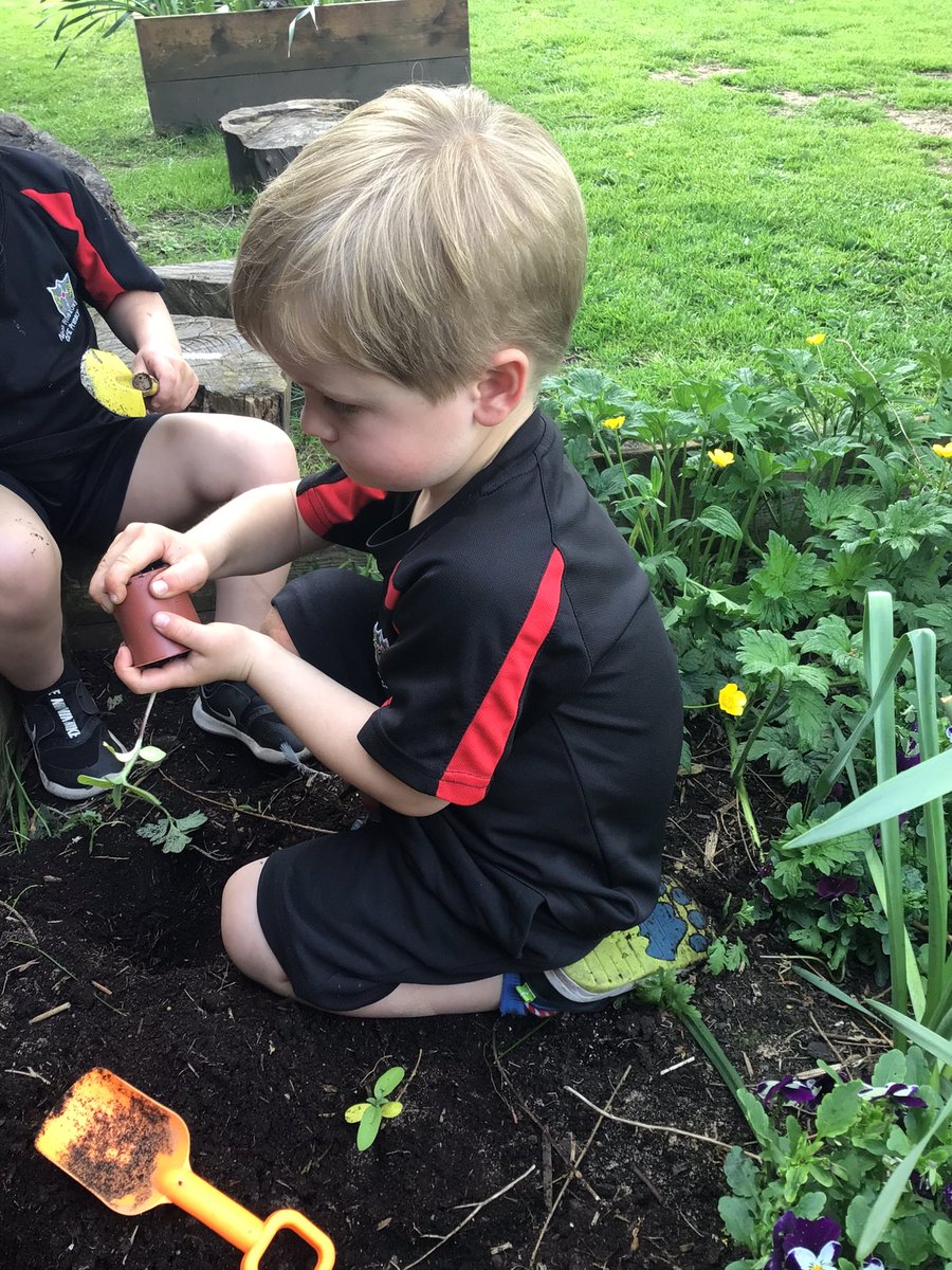 North Wheatley Night Owls tweet media