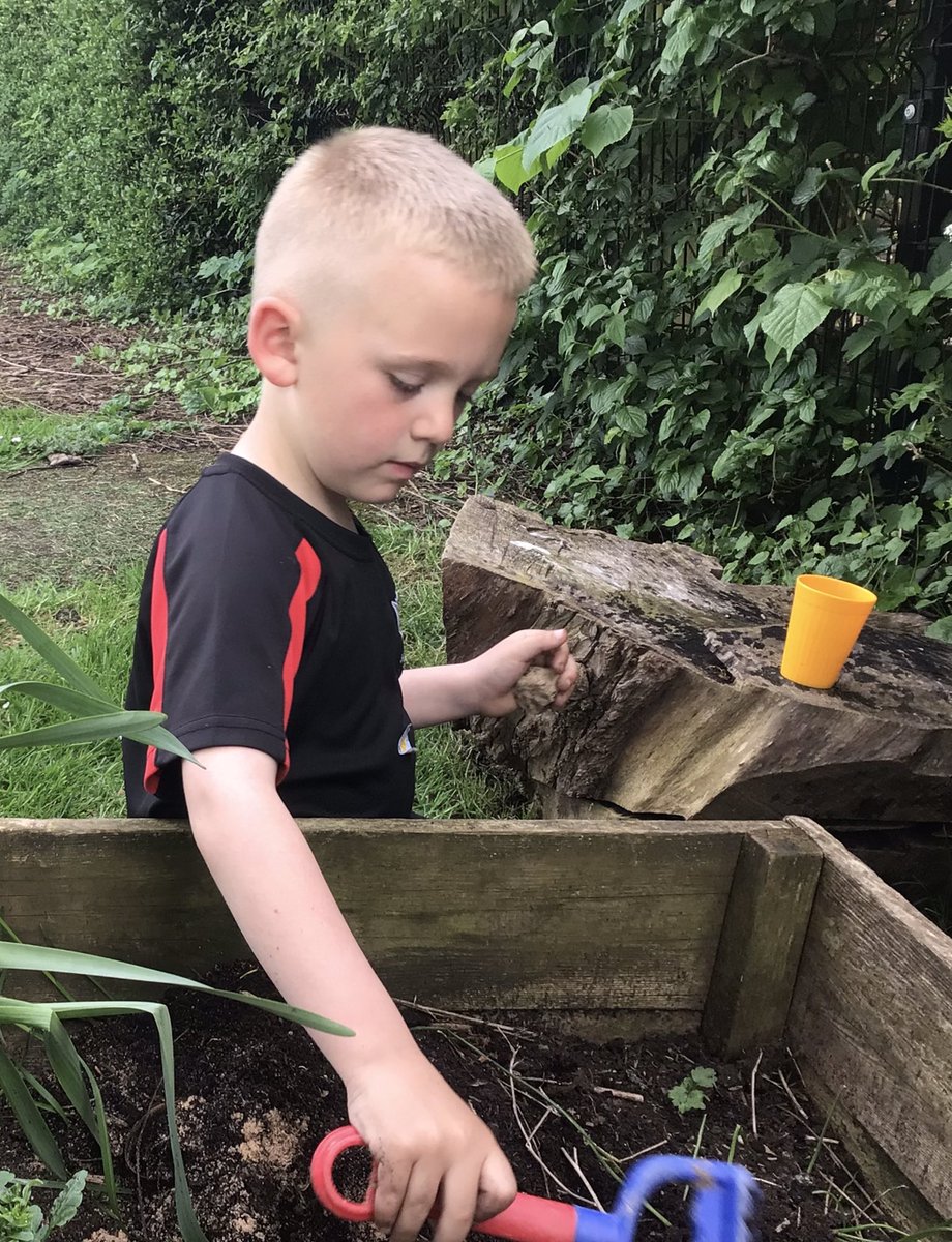 North Wheatley Night Owls tweet media