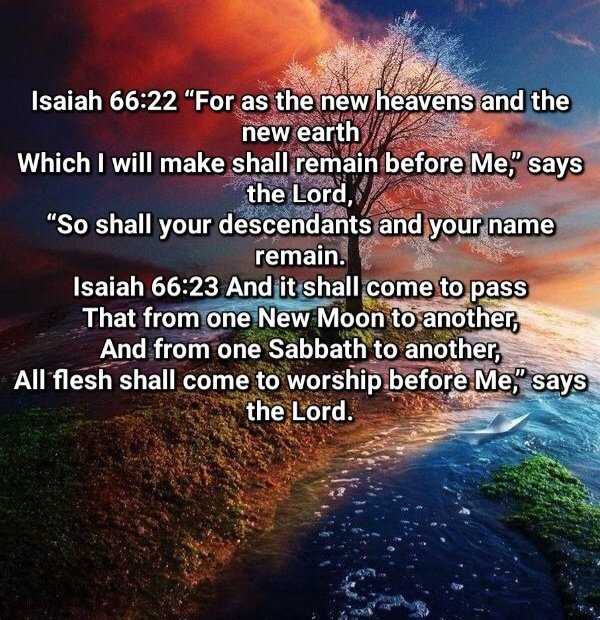 I celebrated Sabbath with all the angels and created beings in other worlds and few on this sinful planet yesterday 

TODAY/SUNDAY is common labor/work day, to those that missed on worshipping Jesus with the rest of the universe, you have next friday sunset - saturday sunset to