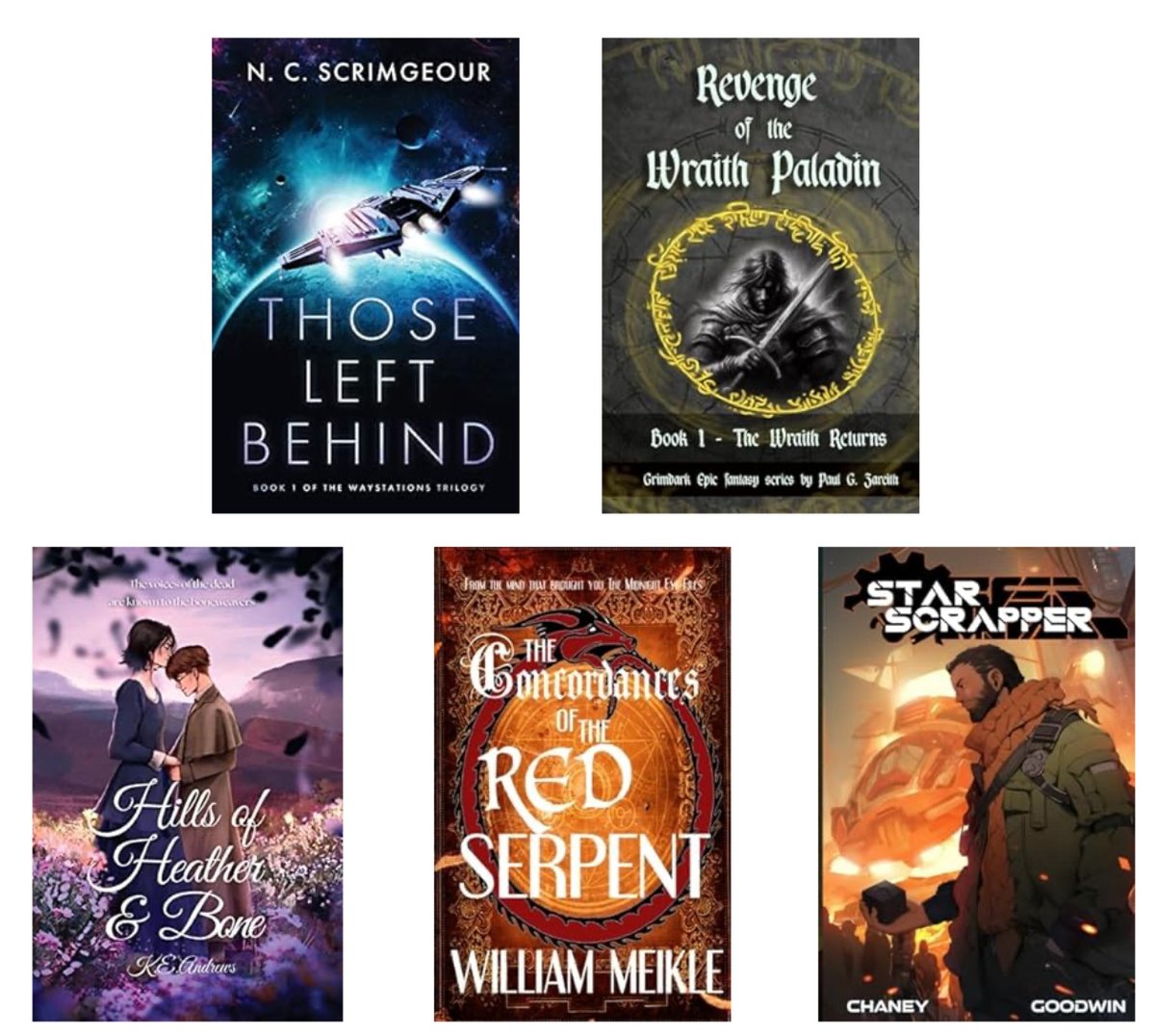 My #indiebook paperback order

Those Left Behind @scrimscribes 
Revenge of the Wraith Paladin @paulgzareith 
Hills of Heather and Bone @KEAndrews95 
The Concordances of the Red Serpent @williemeikle 
Star Scrapper by Chaney & Goodwin

Might repost group pic when the pbs arrive