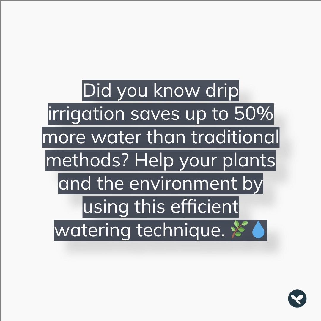 Did you know that drip irrigation can save up to 50% more water compared to traditional watering methods? Take care of your plants and the environment! 
#'Dripirrigation'