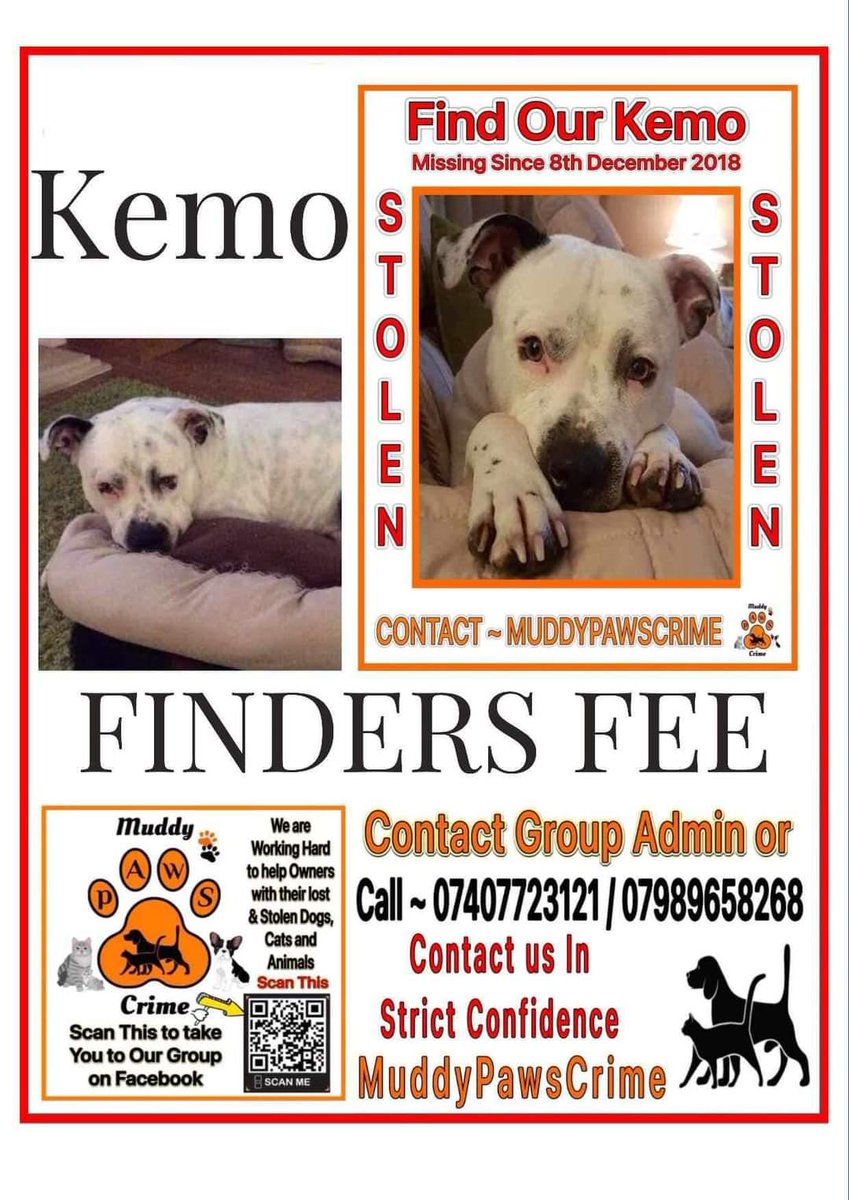 #stolendoghour #findKemo
