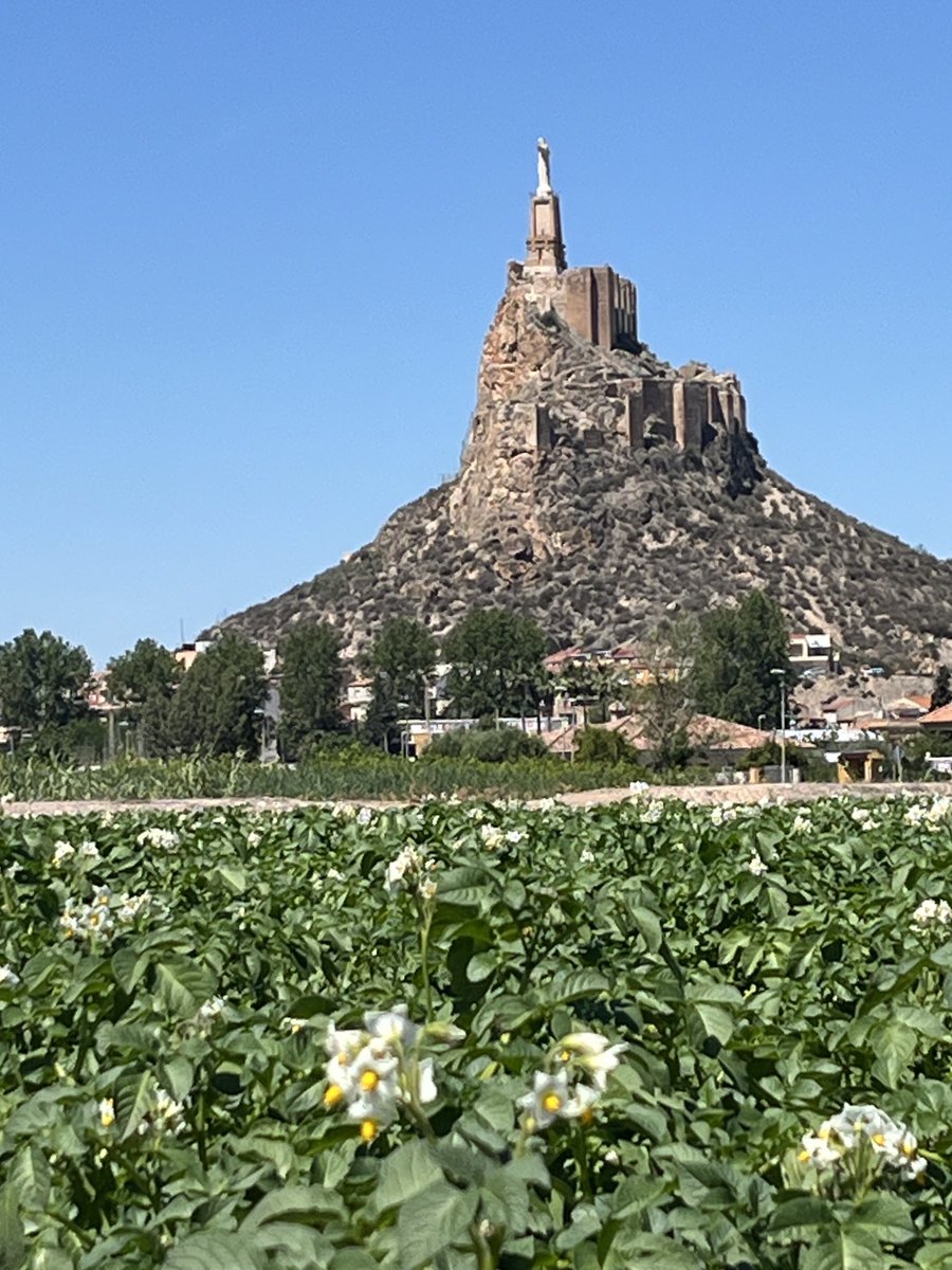 🍋 #Monteagudo 🥬HUERTA DE #MURCIA🥬