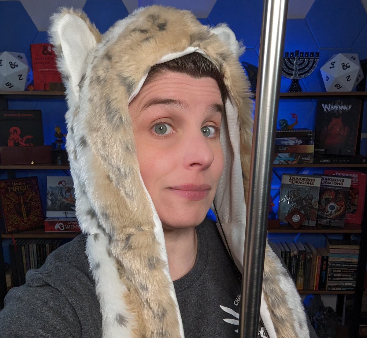 This afternoon my tabaxi paladin is back at work! Join us live now!!