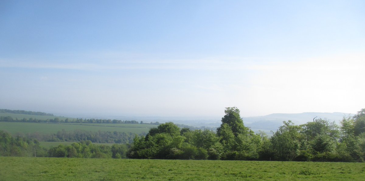 Arundel Park, looking north, towards Amberley Hill, 12 May 2024.
Close to the line of @monarchsway