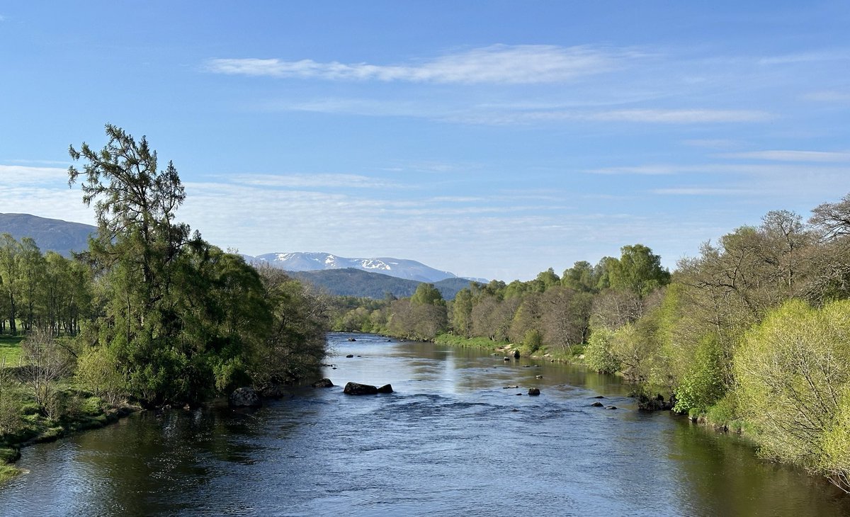 This has to be one of the most-photographed landscapes in the Cairngorms. The view from the bridge over the River Spey, at Boat of Garten, looking towards the snow-capped mountains in the distance. The beautiful fresh green of Springtime is already passing as Summer draws near.
