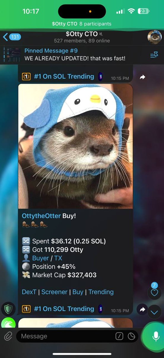 SOL TRENDING #1 DON'T MISS OUT ON THE CUTEST OTTER ON SOLANA AND JOIN OTTY GANG t.me/OttyCtoportal