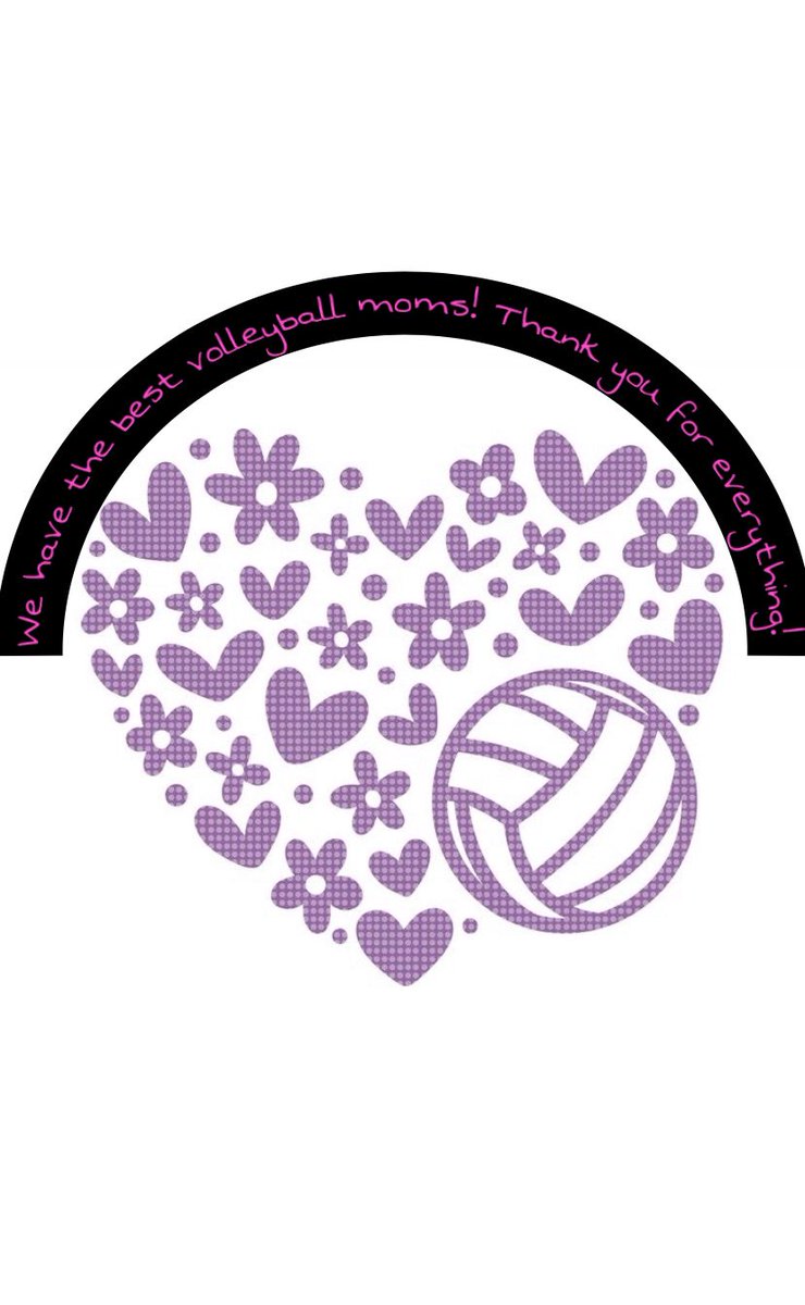 Hagerstown Volleyball tweet media
