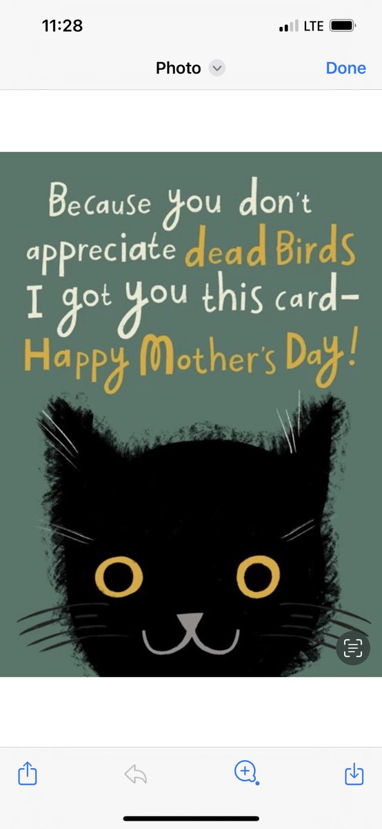 For all the cat moms & moms all over the world!!! Hugs!! 💙