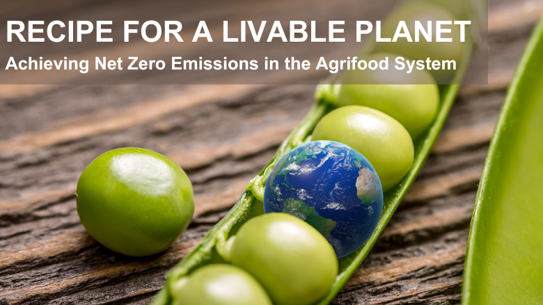 The Food System Economics Commission (@fsecommission) on Twitter photo OUT NOW 🚨 <a href="/WorldBank/">World Bank</a>’s Recipe for a Livable Planet report offers a global strategic framework for mitigating the #AgriFood system’s contributions to #ClimateChange 🌍 Download the report and learn how the world can reach #NetZero agrifood systems: bit.ly/3wumOBd OUT NOW 🚨 <a href="/WorldBank/">World Bank</a>’s Recipe for a Livable Planet report offers a global strategic framework for mitigating the #AgriFood system’s contributions to #ClimateChange 🌍 Download the report and learn how the world can reach #NetZero agrifood systems: bit.ly/3wumOBd