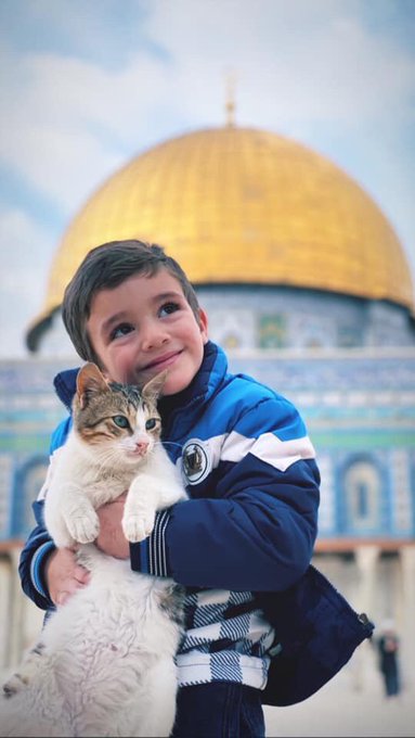 Kudüs, Çocuk ve Kedi #FreePalestine #yargı #Teşkilat