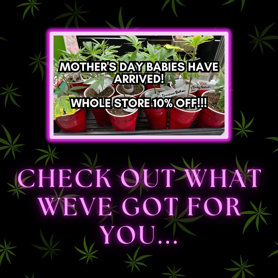 SURPRISE!!! Check this out... you won't want to miss it!🤯

#420teatime #mothersdays #surprise #mother #womensday #guesswhat #twitter #twitteraccount #checktwitter