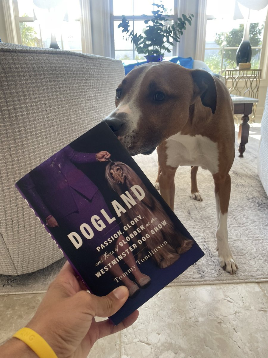 Dansby and I are big fans of Dogland by @tommytomlinson 🐶