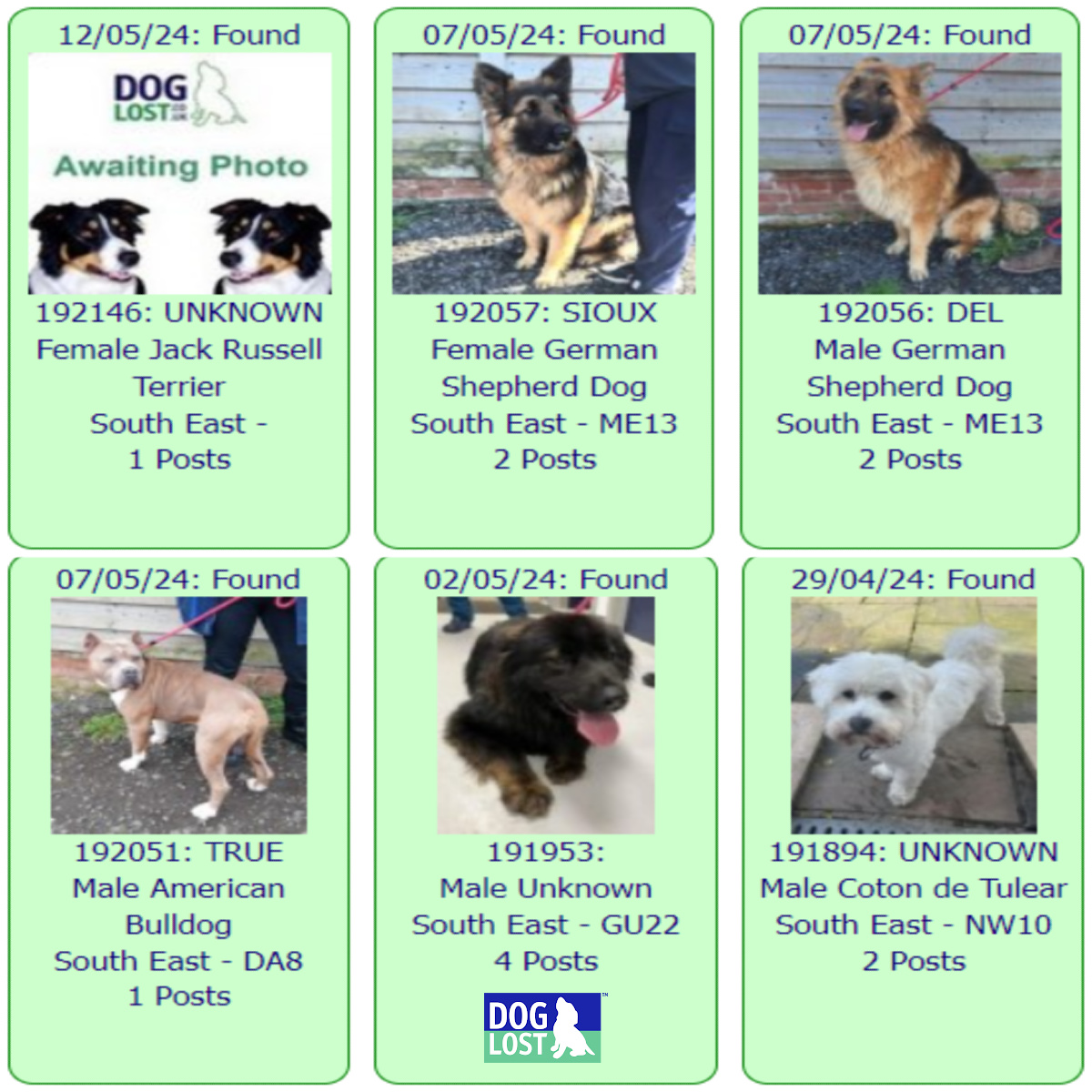 #FOUND #DOGS SOUTH EAST * May 12th ~ April 29th 2024 These #FoundDogs are on the @DogLost_UK site as being FOUND in our #SouthEast area If you see your dog below go to doglost.co.uk and put the ID NUMBER (shown under the photo) into the search menu for more details