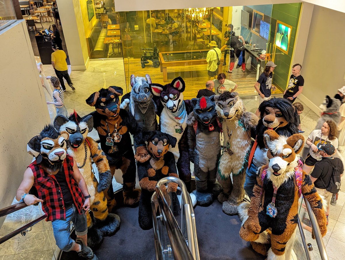 thehouseofcurl's tweet photo. Thanks to everyone who showed up to the photo shoot @MarcPony @CrashRotty @s13otter @BestPup @liondogari @KobaltHusky @deling_city @fuskypuppy @KaiYeena https://t.co/luLsaph8oj