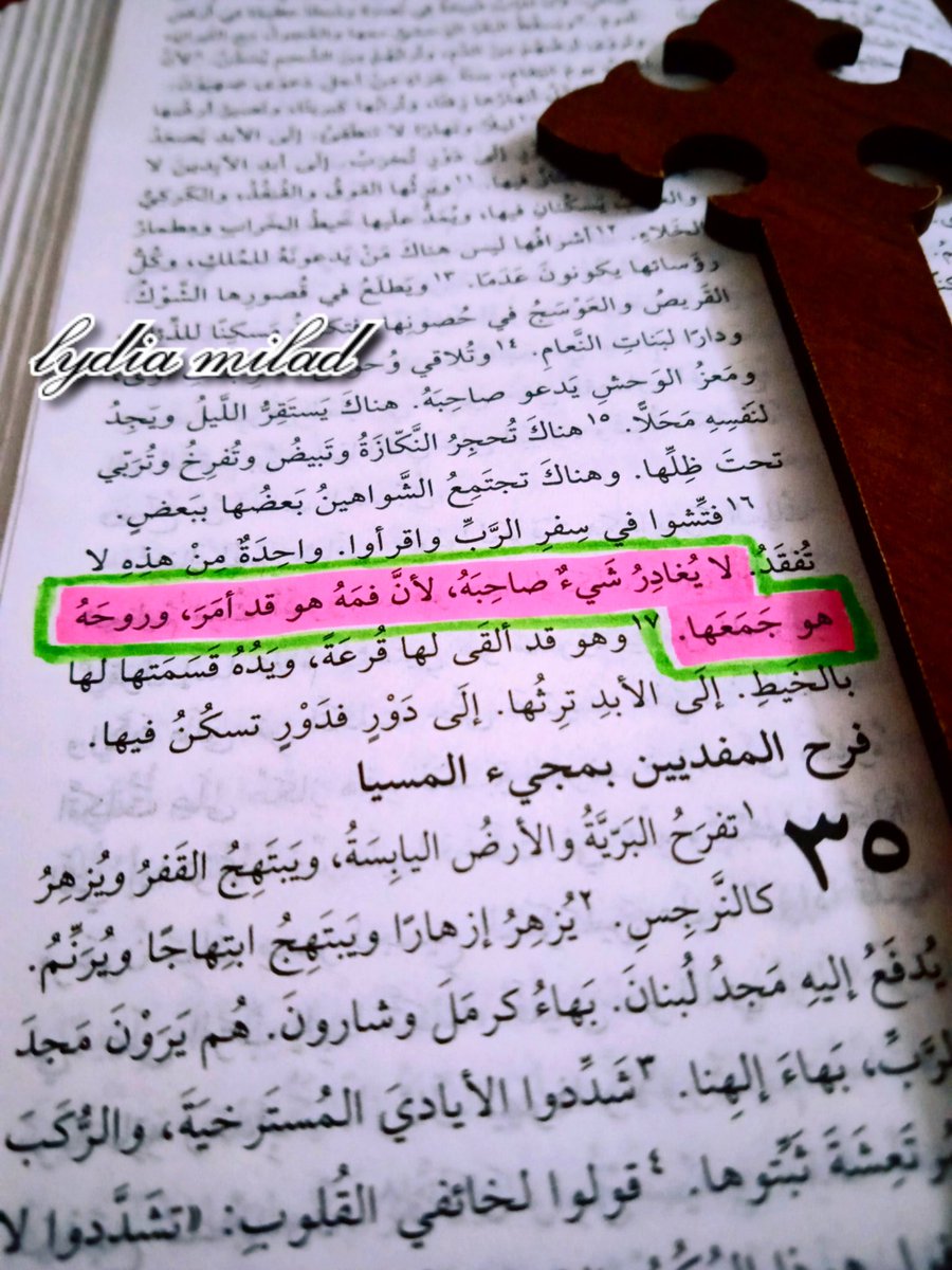 •••محدش بياخد رزق حد ياعزيزي اتطمن ♥️✝️ #ليديا_ميلاد