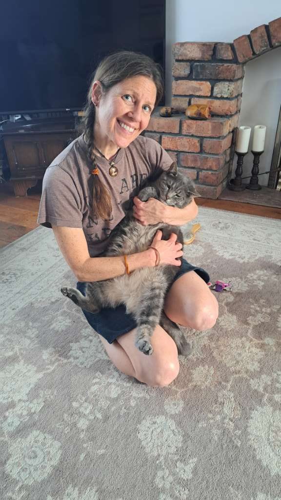 My Three Cats 😺🐈🐾 tweet media