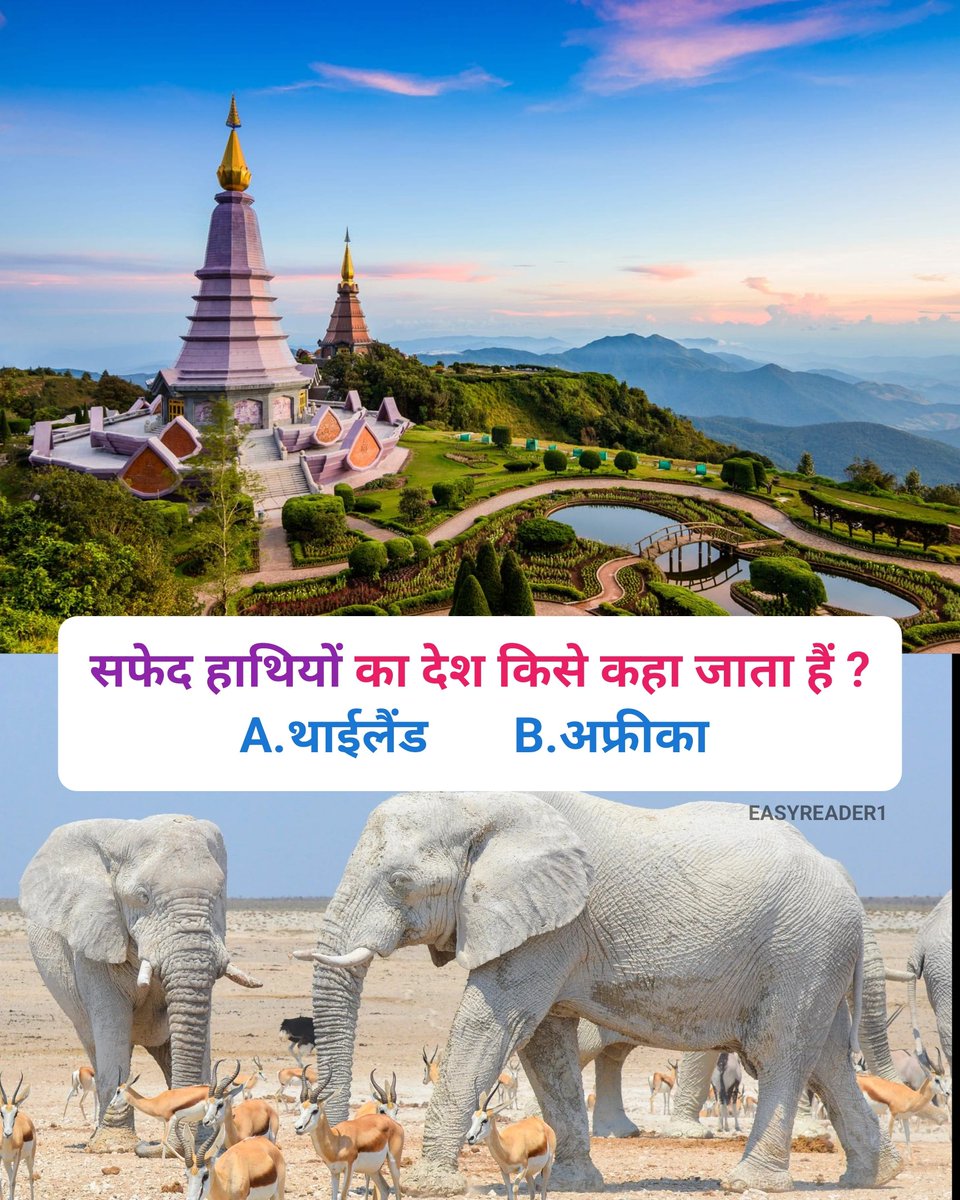 easyreader01's tweet image. सफेद हाथियों का देश किसे कहा जाता हैं ?
A. थाईलैंड
B. अफ्रीका