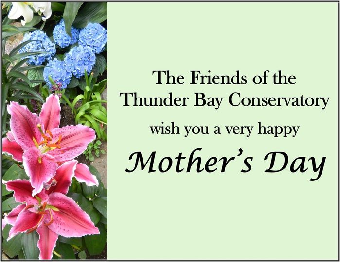 Happy Mother's Day! Many of us are missing our traditional stroll through the beautiful flowers of #ThunderBay's Botanical Conservatory today but knowing a renewed facility will reopen makes the wait worthwhile. #MothersDay