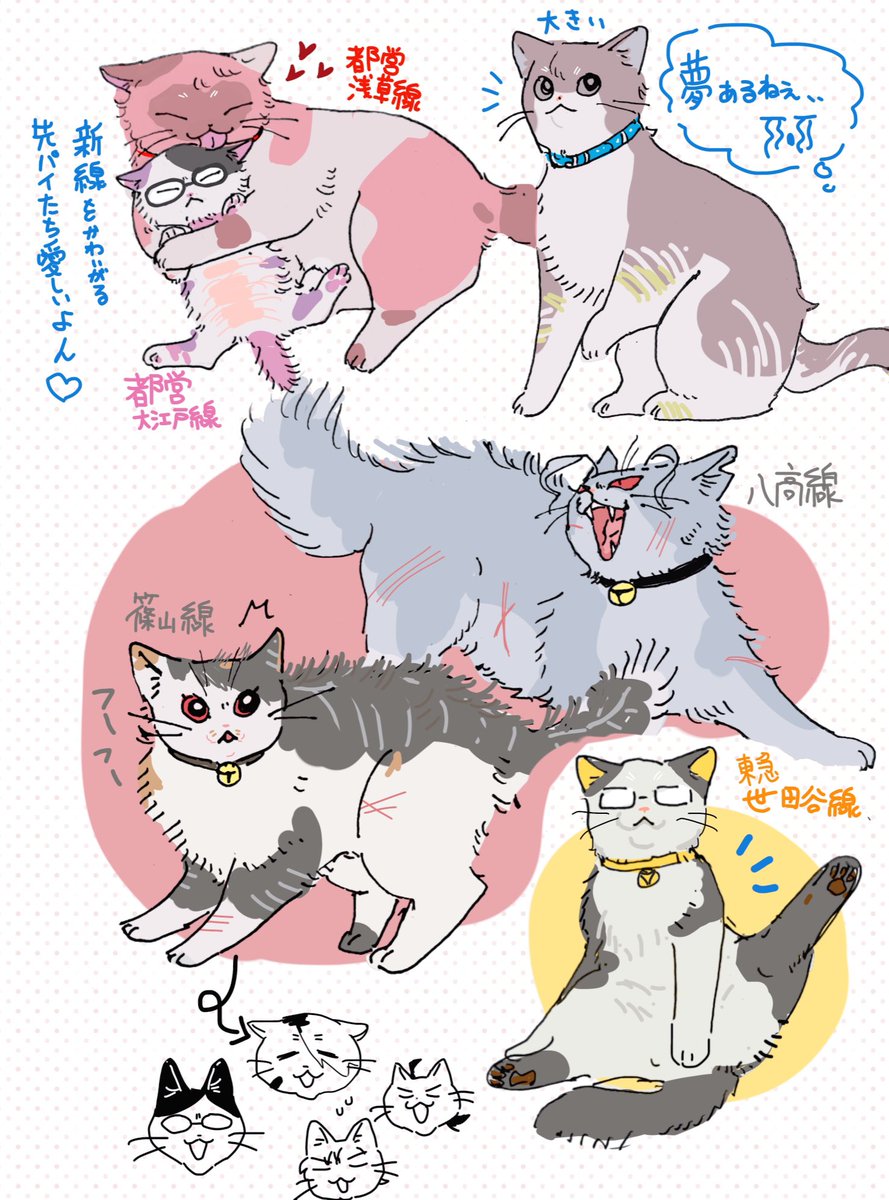 F_ryosaku's tweet photo. 🐈🟦 https://t.co/5TKoR0JTIS