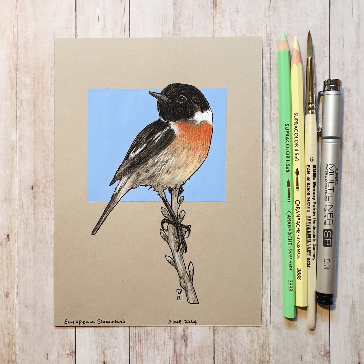 🔴This drawing is now sold, thank you.
If you are interested in seeing or purchasing my art, I'd love you to visit my Etsy shop.
*shop link in my profile
#OriginalArt #drawing #PenAndInk #ColourPencil 
#MixedMedia #art #TraditionalArt #bird #Birds #BirdDrawing #BirdArt