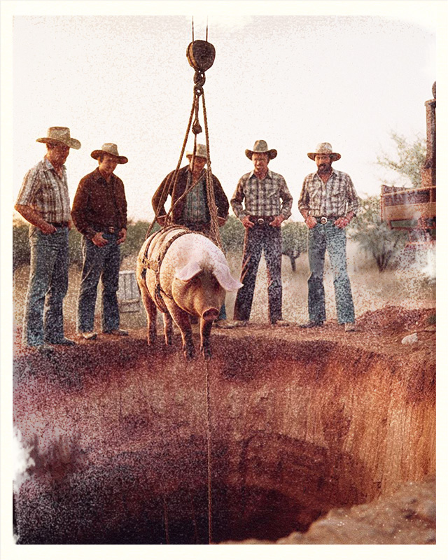 May 12th, 1973

Workers lower the first living explorer, a borrowed pig from a neighboring farm, into the 'mystery sinkhole'. 

The fate of the poor animal following this photograph is unknown.