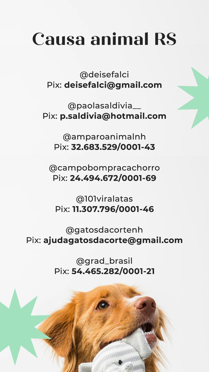 PraCaroles | Streamer (@pracaroles) on Twitter photo 