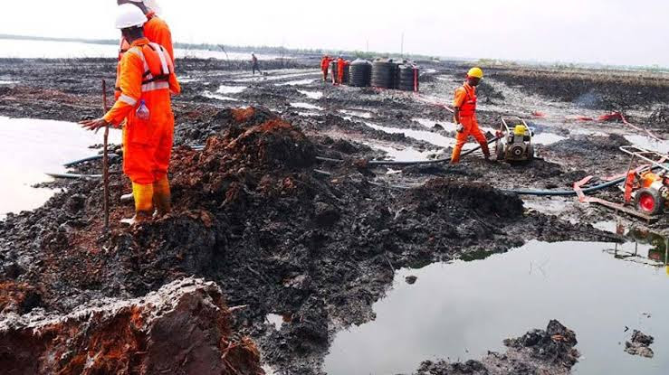 Ogoni People Threaten Mass Protest Over Abandonment Of N80billion Clean-up, Restoration Projects In Communities | Sahara Reporters bit.ly/3WCD5yQ
