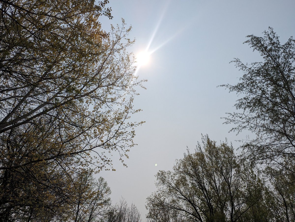 mnics's tweet image. Smoke dimming your sky today?  It's drifting in from Canada wildfires. @NWS issued a Hazardous Weather Outlook for unhealthy air quality for NW MN, with air quality impacts reaching as far as Ortonville to Hibbing today.  To view the smoke drift map visit fire.airnow.gov.
