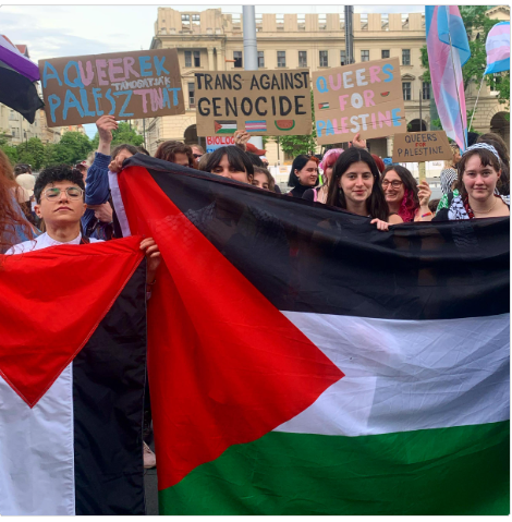 Transgender and nonbinary people waved the Palestine flag at the trans pride march yesterday in Budapest. My heart is full ❤️ This is what true solidarity looks like.