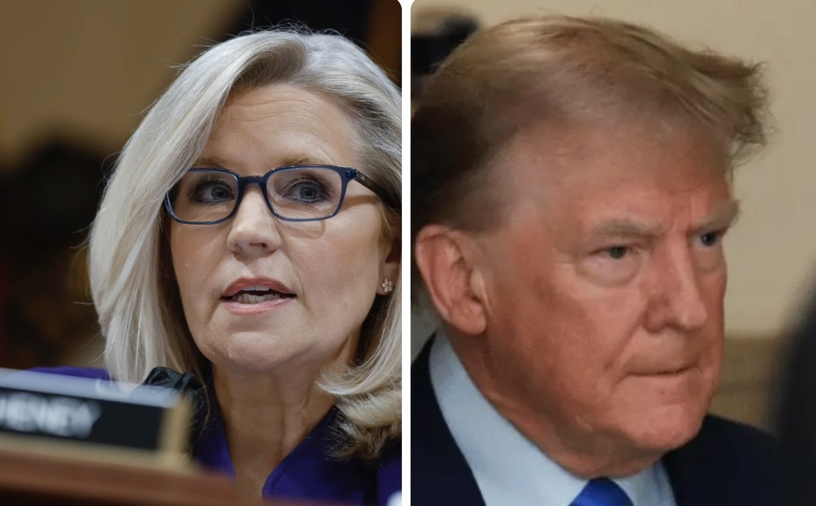 Liz Cheney says Donald Trump believes he is above the law. Trump can never be anywhere near the Oval Office again! Drop a 💙 and Repost if you agree with her!