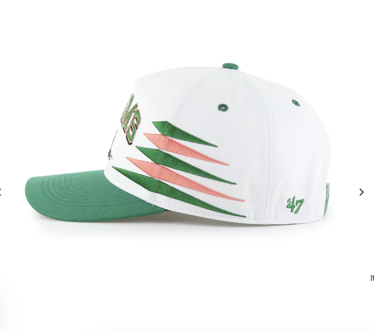 Worms Snapback Worms Snapback