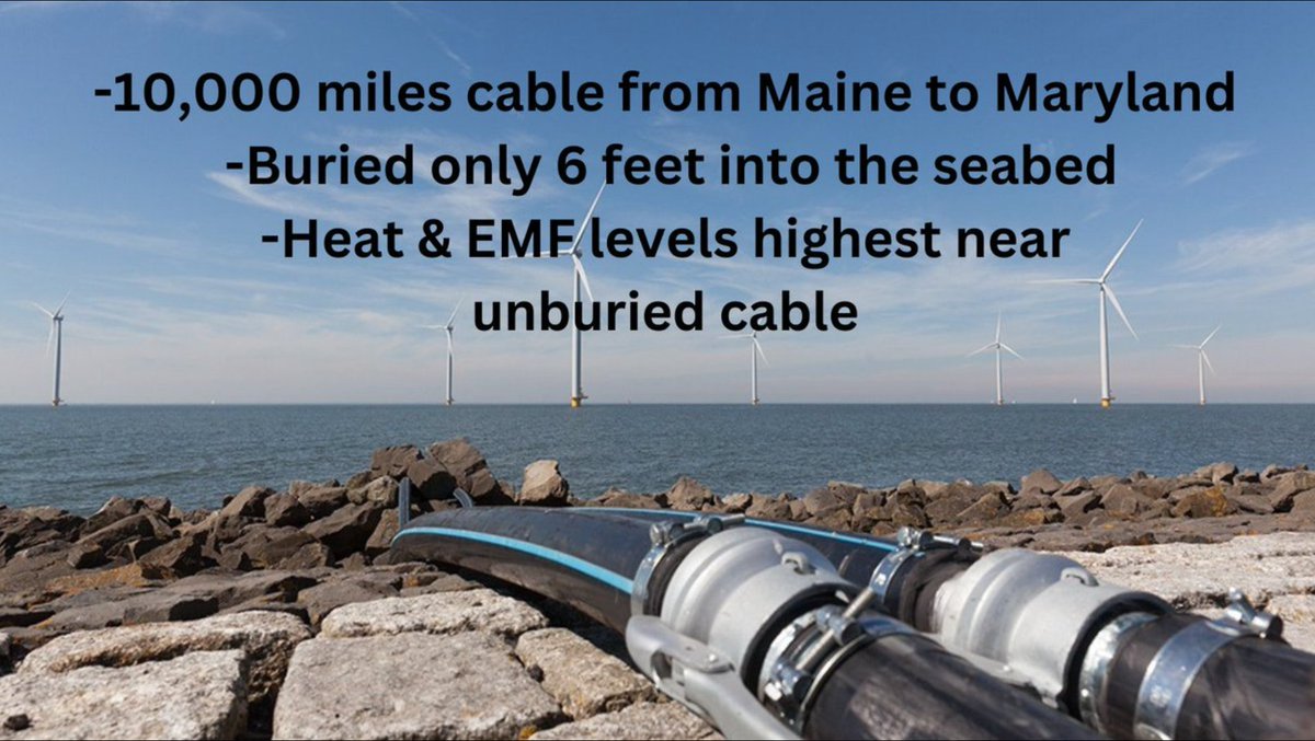 Not all cables areas will be buried: 'EMF levels would be highest at the seabed near cable segments that cannot be fully buried and are laid on the bed surface under protective rock or concrete blankets.' -ATL Shores DEIS