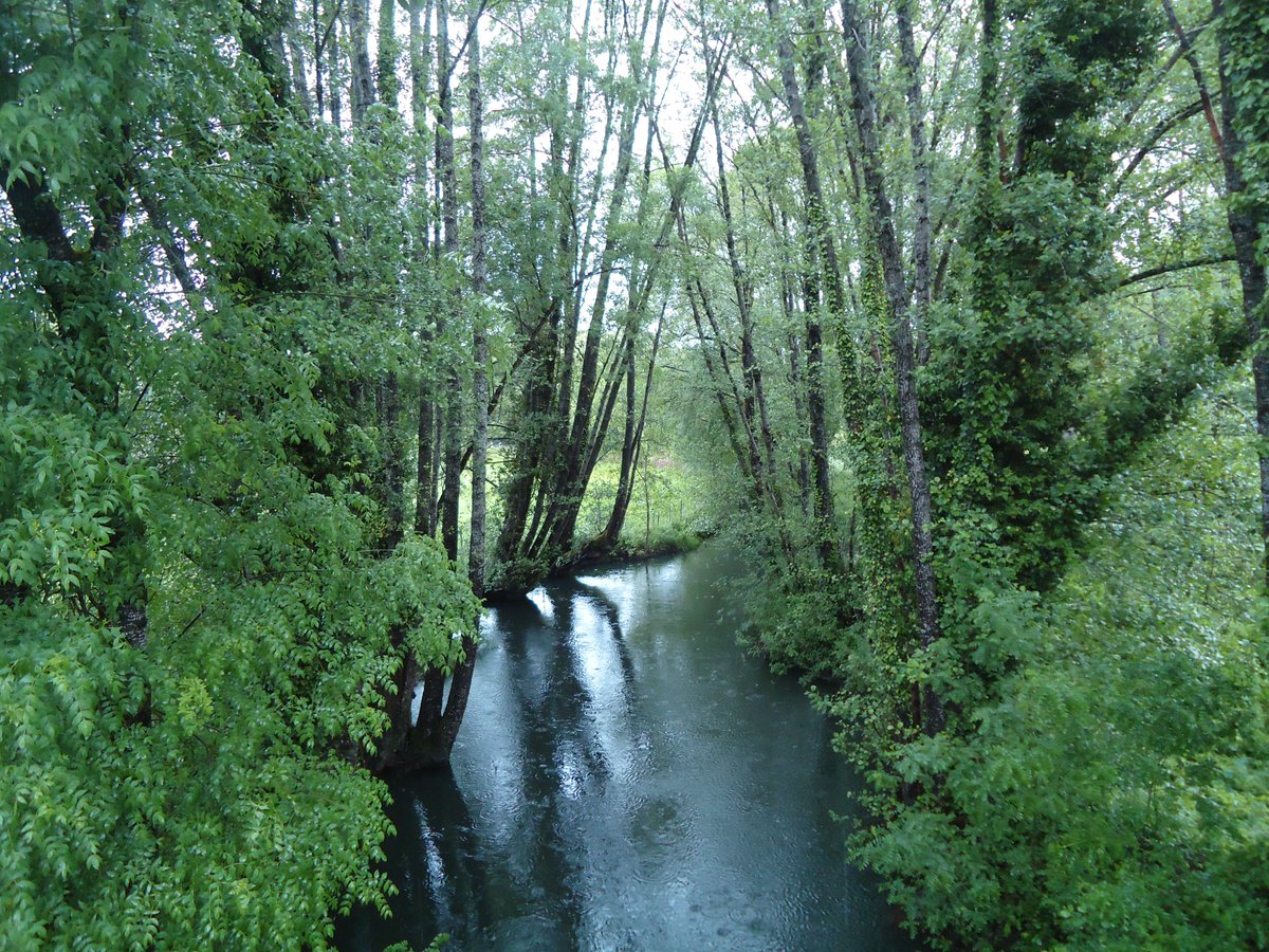 fotoscamino's tweet photo. Empiezan los bellos paisajes. A pocos Km. de #MonfortedeLemos llegando por una carretera poco transitada a #AVide Cruzamos el Rio Cinsa. Comienza el deleite para nuestros sentidos.
@caminodinvierno
@DeJacobeo
@Turgalicia
@RibeiraSacra_EP https://t.co/ulWdf4ELNS